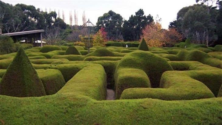 maze melbourne