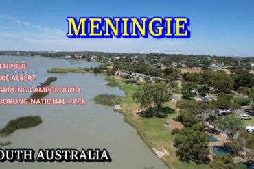 meningie