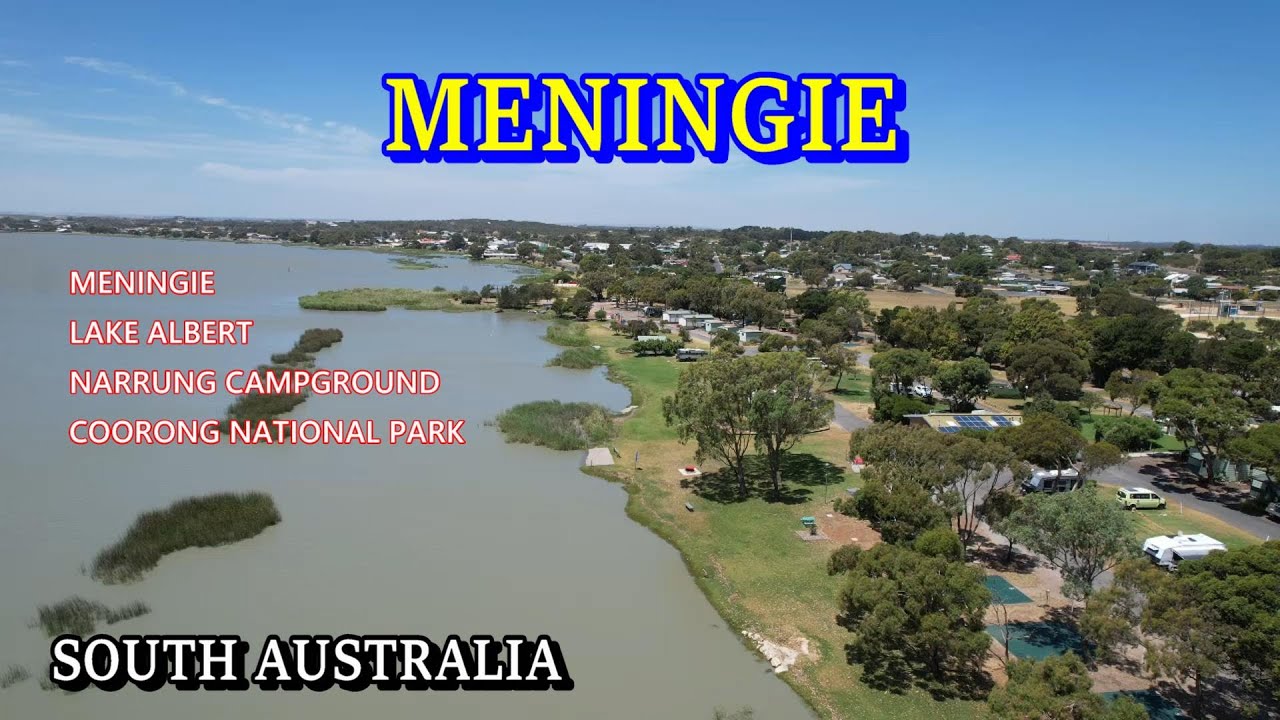 meningie