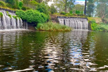 merrylands wildlife park sydney