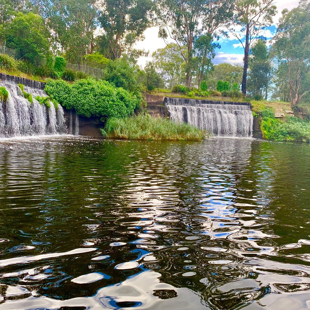 merrylands wildlife park sydney