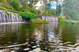 merrylands zoo sydney