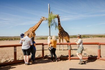 monarto zoo south australia