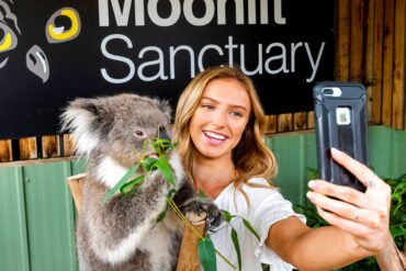 moonlit sanctuary australia