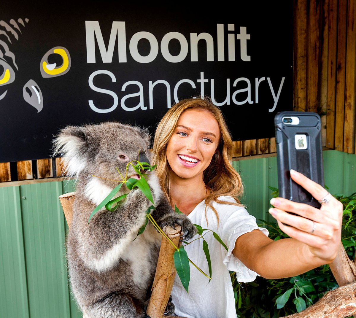 moonlit sanctuary australia