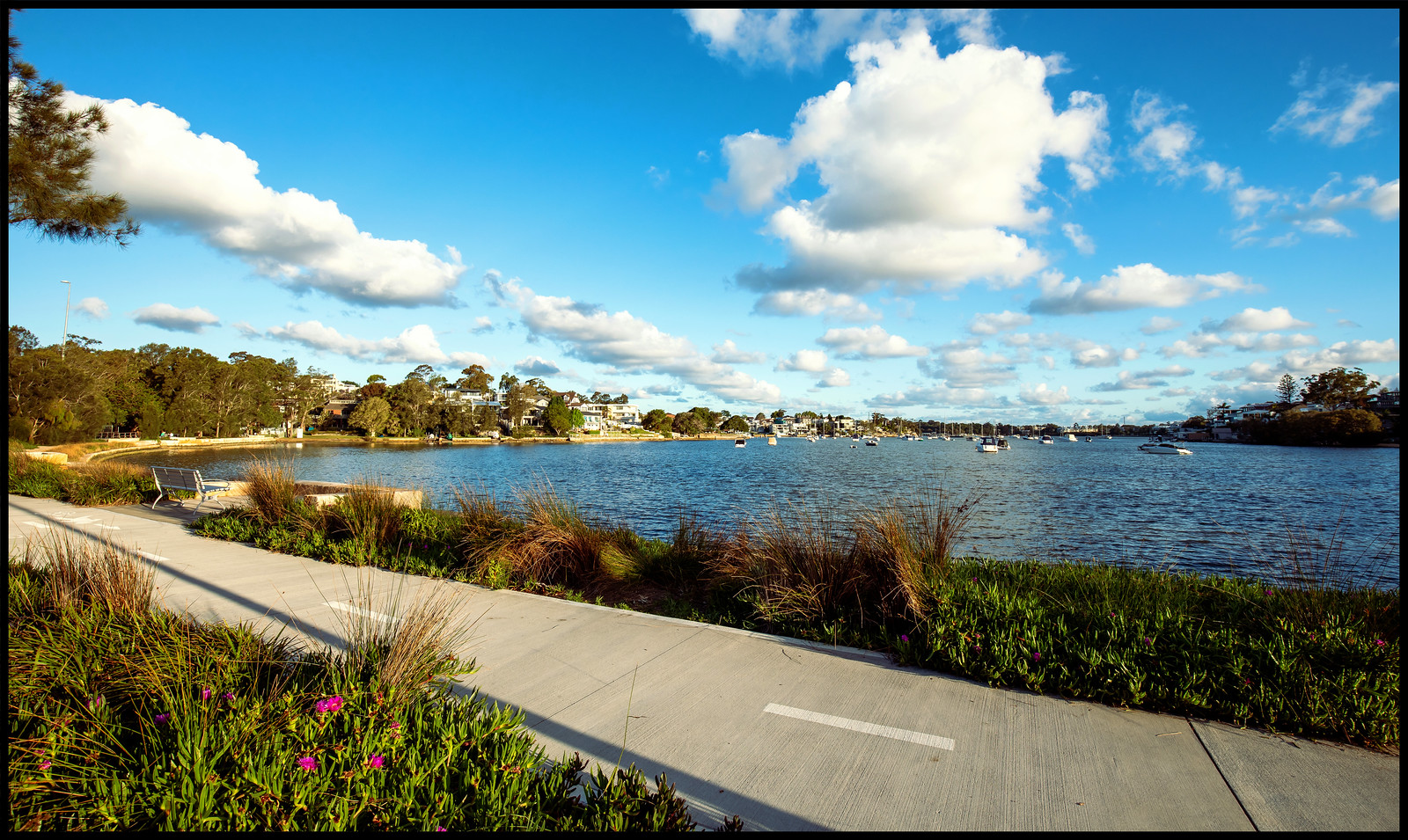 morrison bay sydney