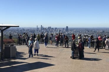 mount coot tha lookout