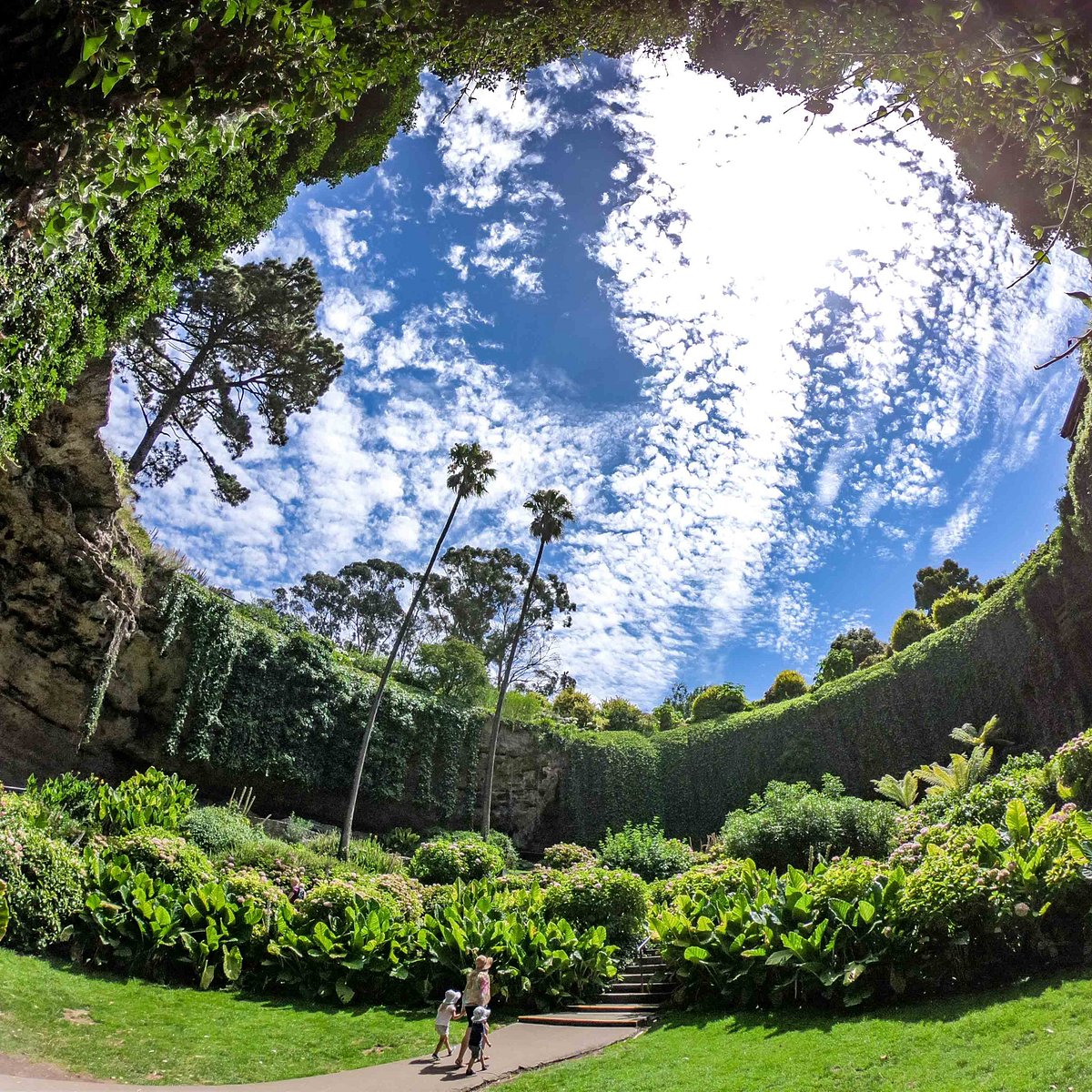 mount gambier sink hole garden