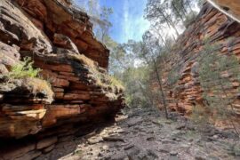 mount remarkable national park