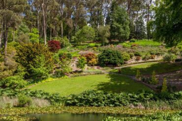 mt lofty botanical gardens