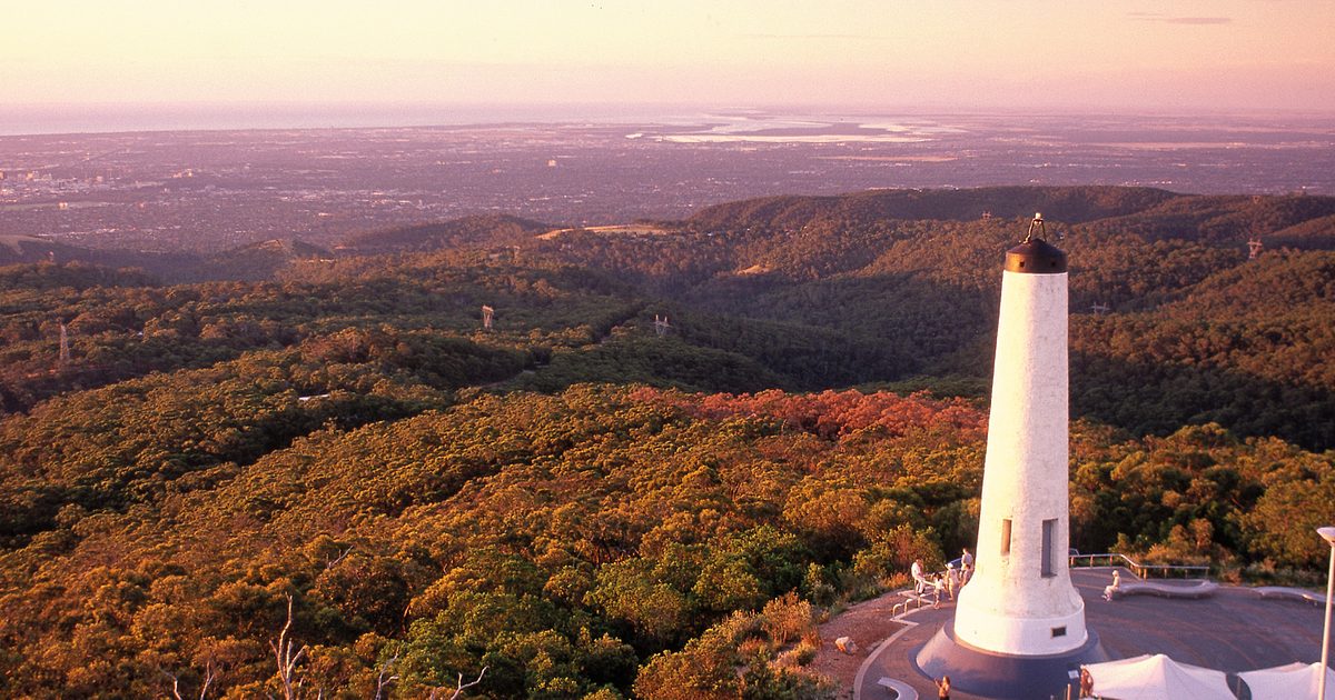 mt lofty summit