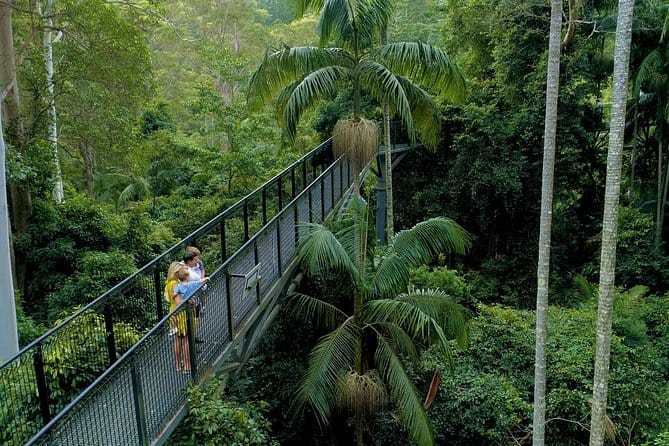 mt tamborine