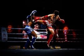 muay thai