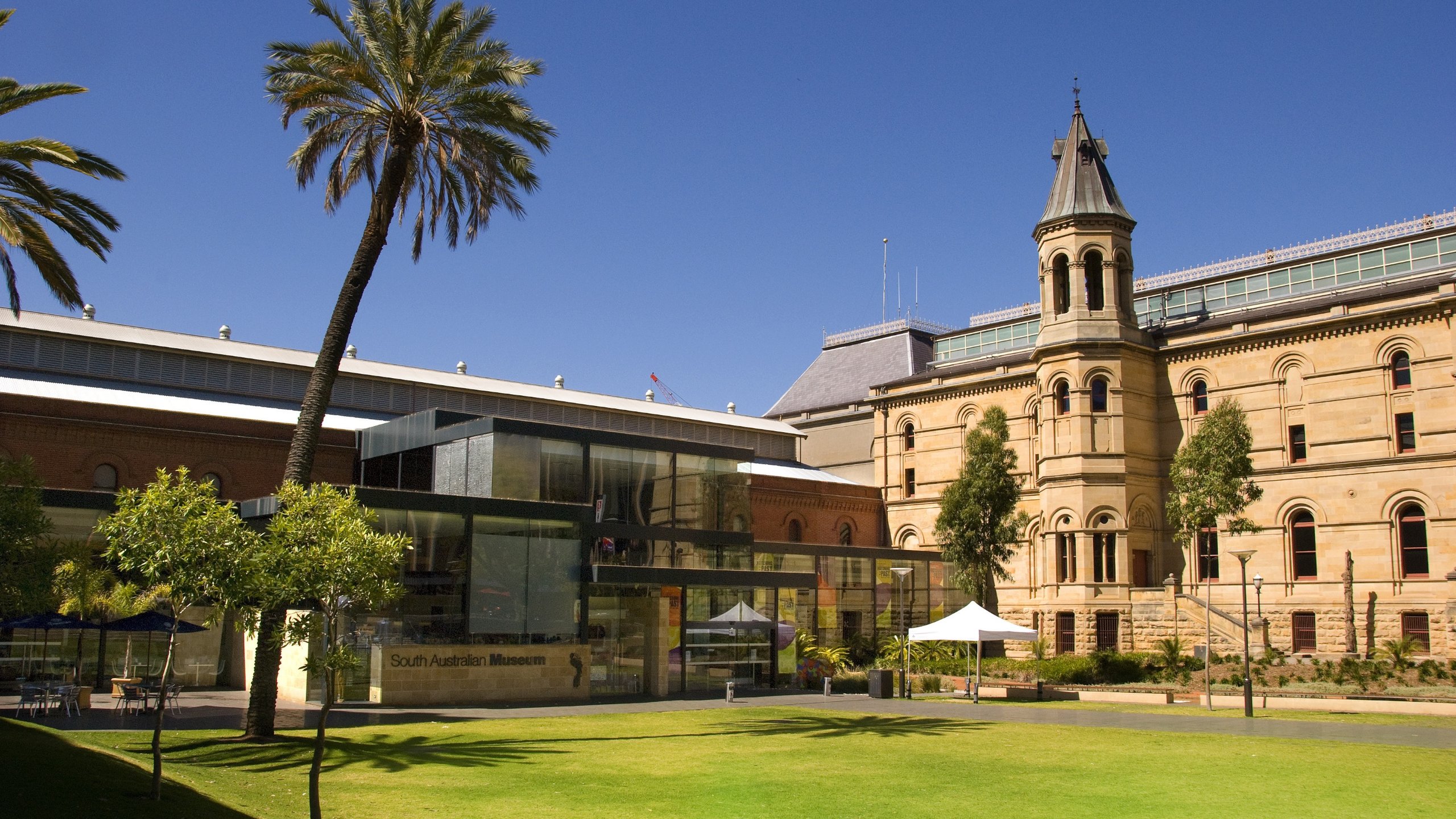 museum in adelaide