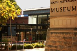 museum south australia