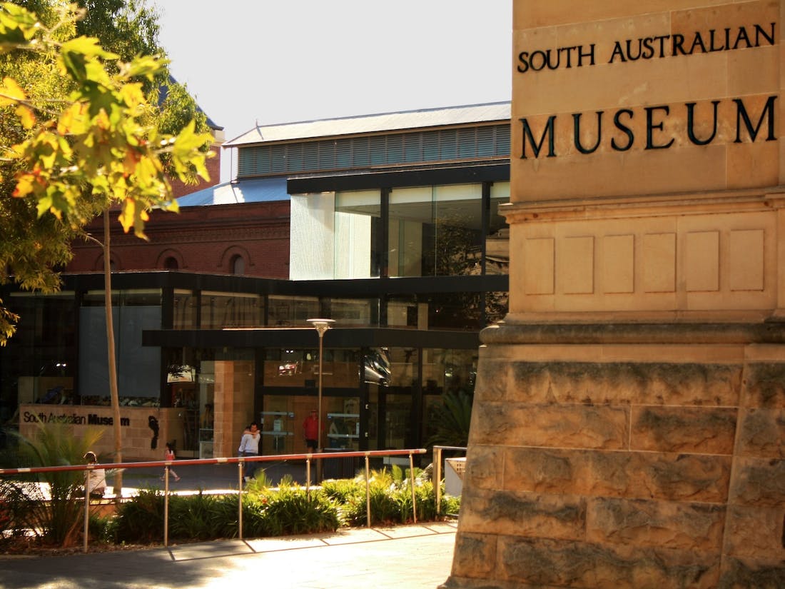 museum south australia