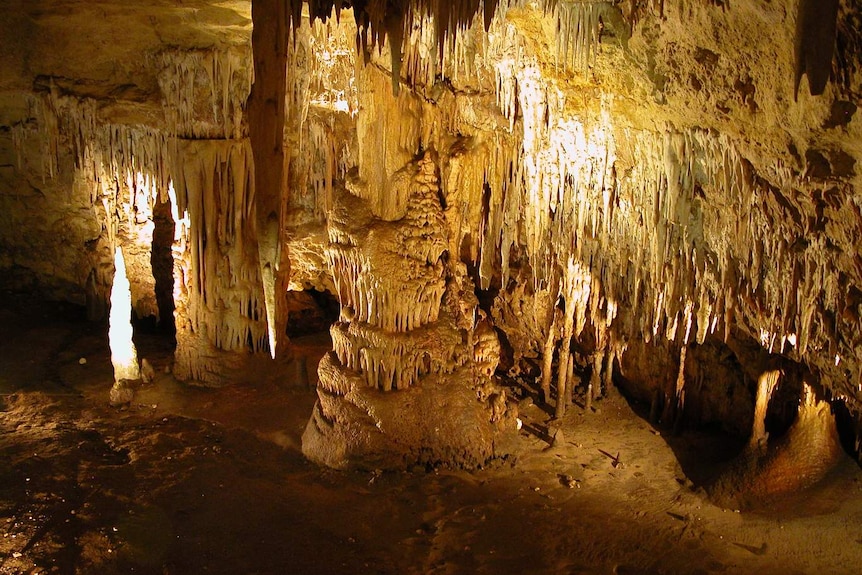 naracoorte caves national park south australia