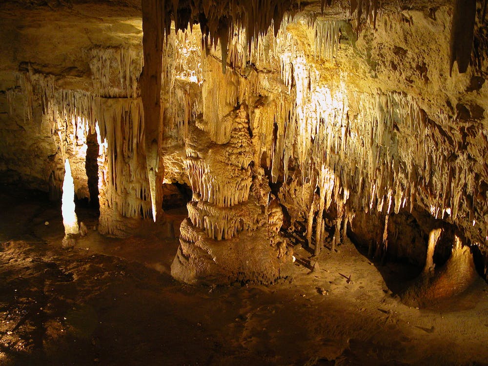 naracoorte caves south australia