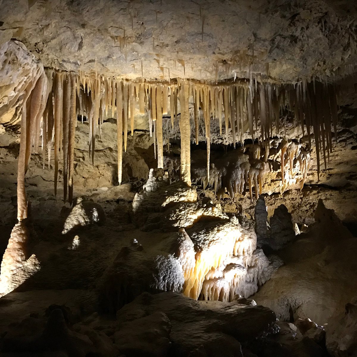 naracoorte caves