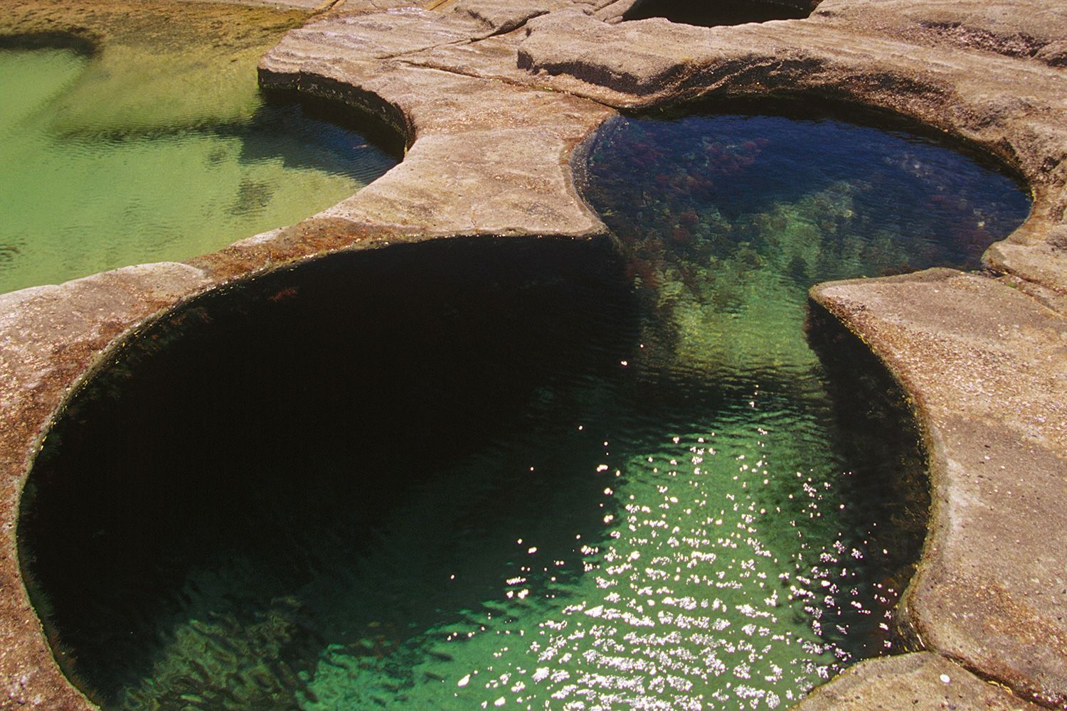 natural pools sydney