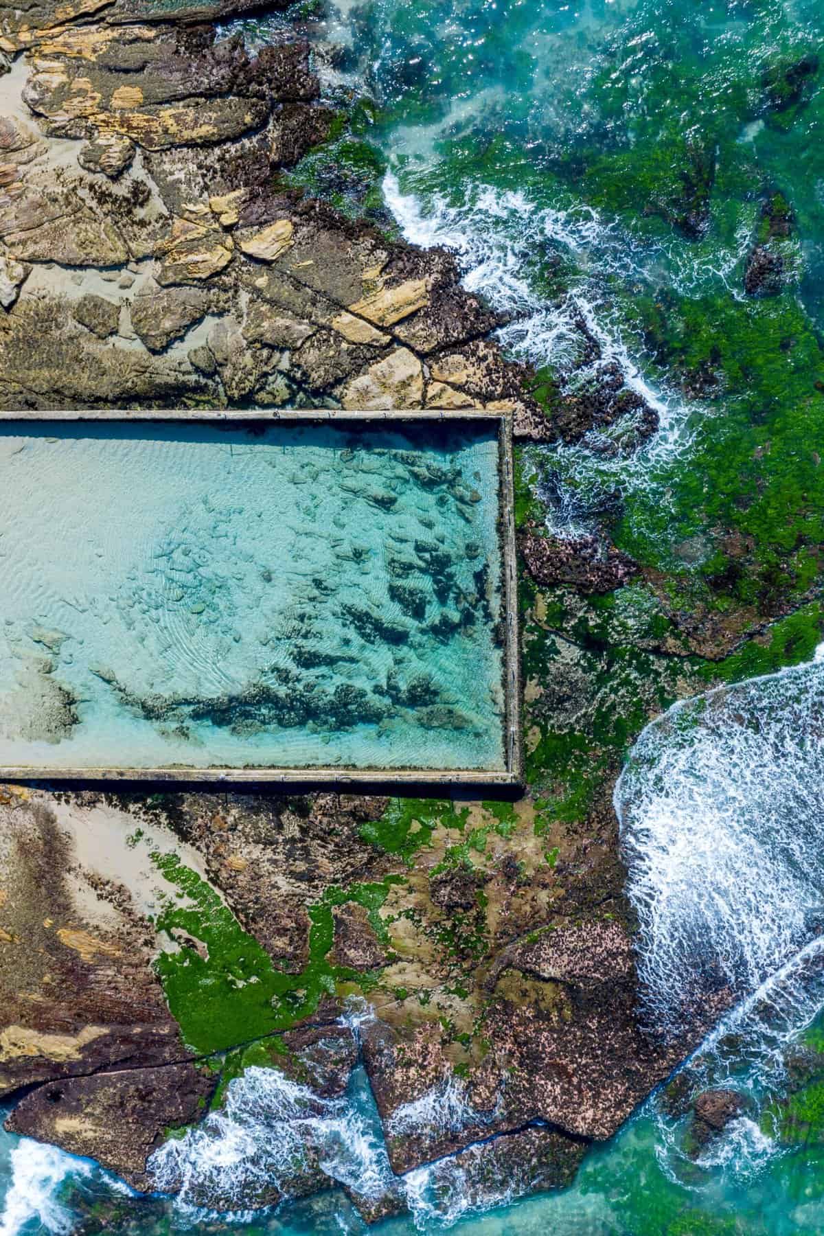 natural swimming pools sydney