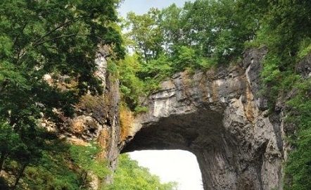 nature bridge