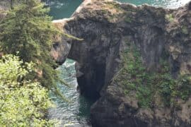 nature bridges