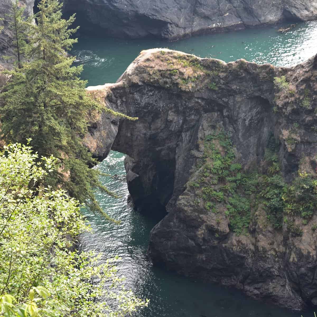 nature bridges