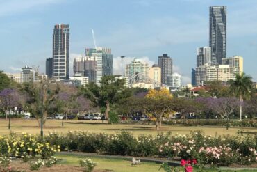 new farm park brisbane