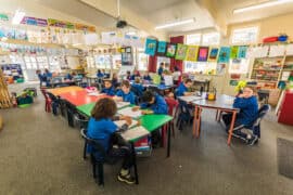 new zealand primary schools