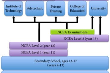 new zealand schooling system