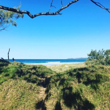 north noosa camping