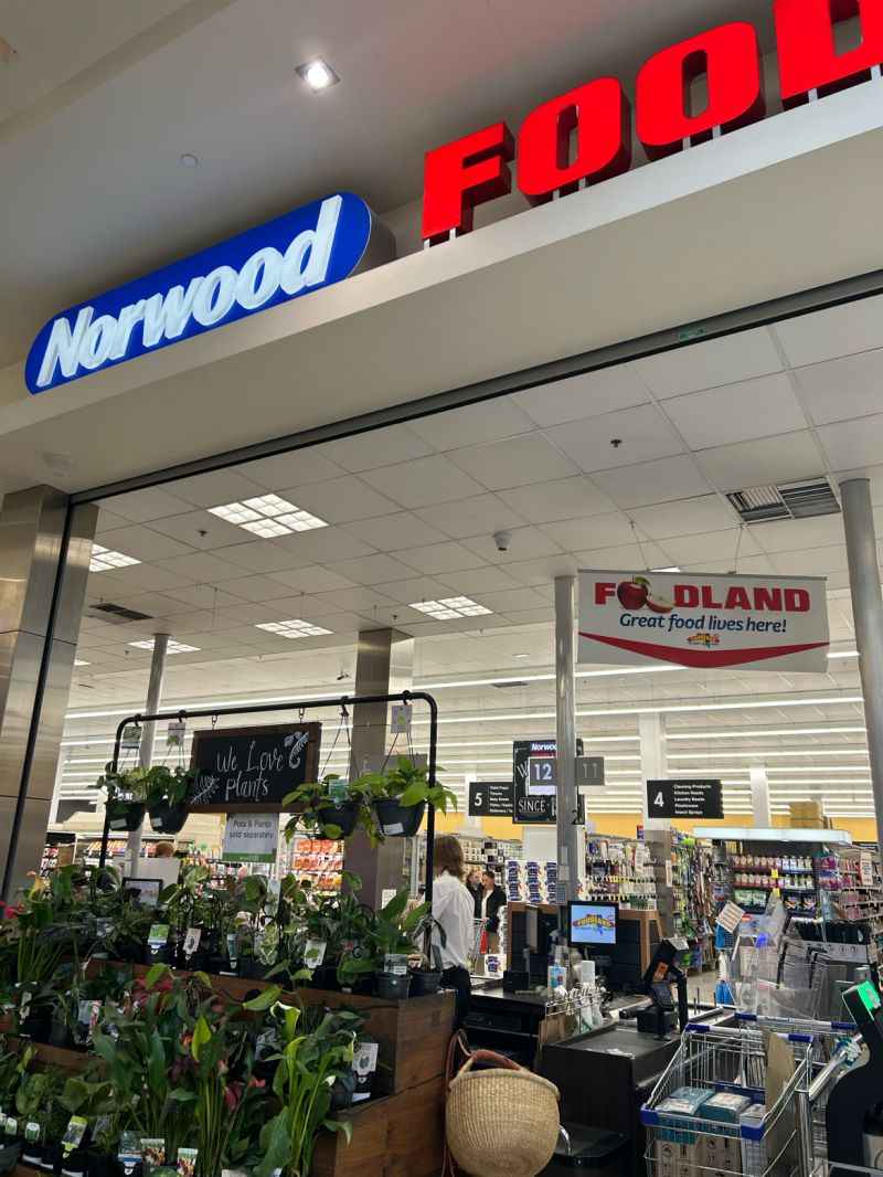 norwood foodland