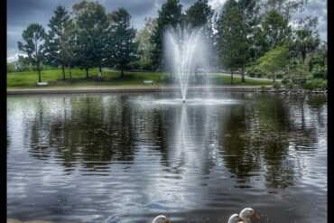 nurragingy water park sydney