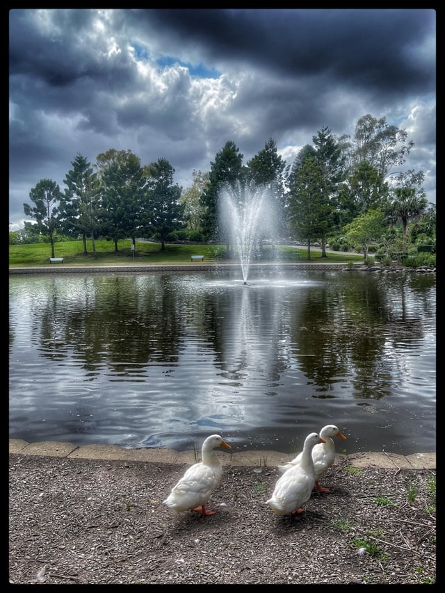 nurragingy water park sydney