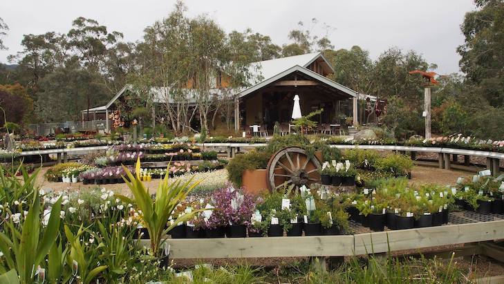 nursery with cafe melbourne