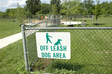 off leash dog area near me