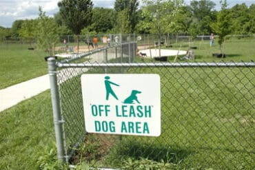 off leash dog parks