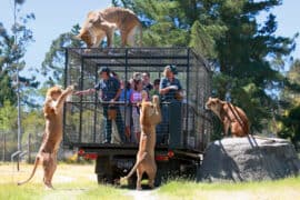 orana wildlife park