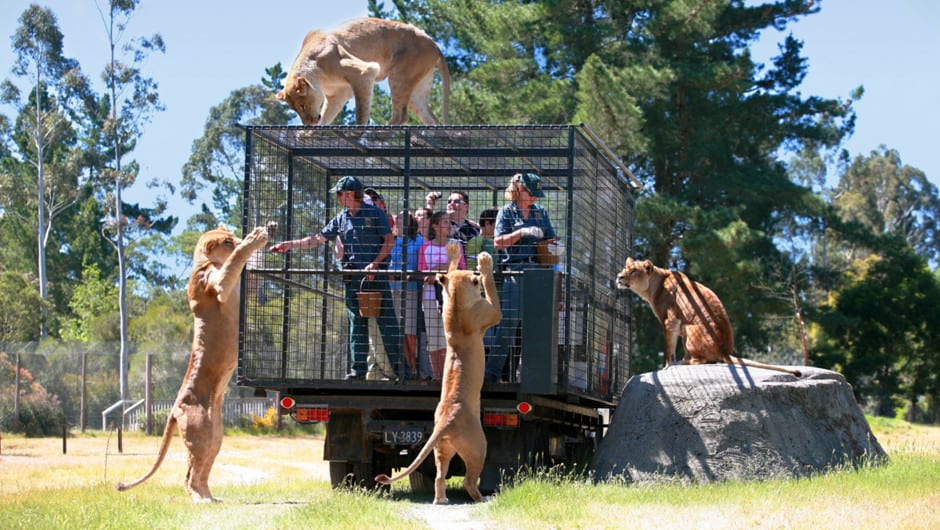 orana wildlife park