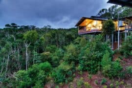 o'reillys rainforest guesthouse