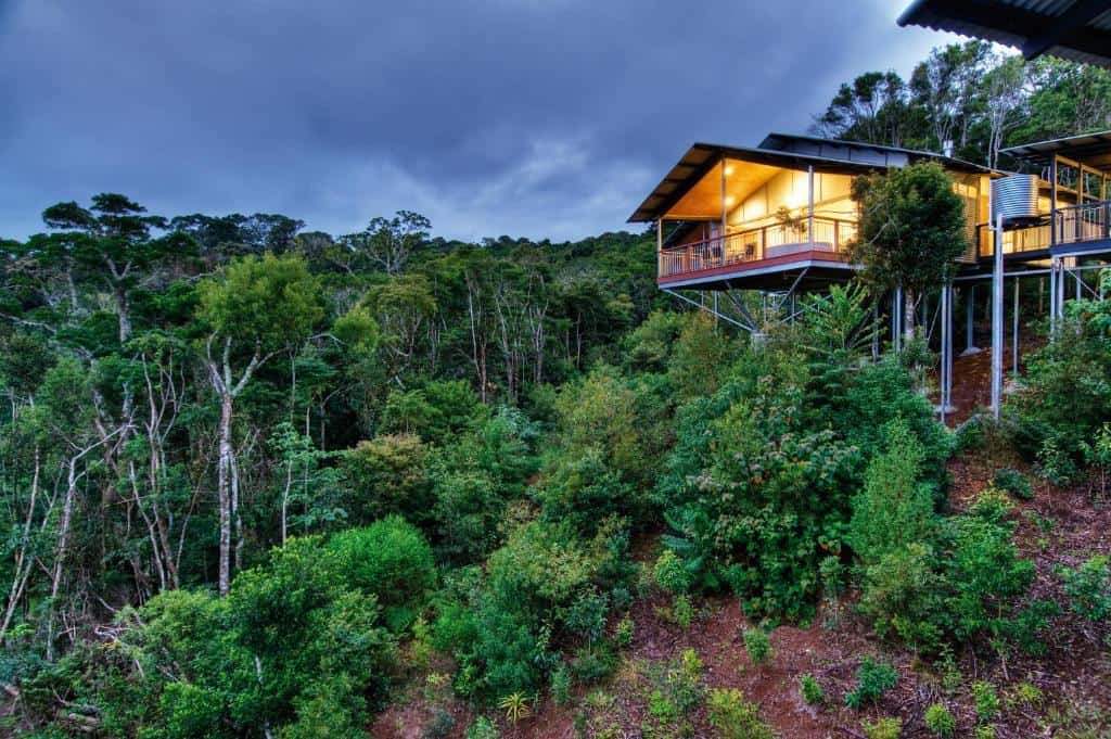 o'reillys rainforest guesthouse