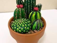 painted cactus rocks