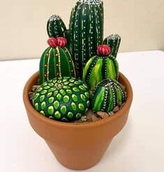 painted cactus rocks