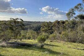 para wirra conservation park