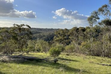 para wirra conservation park