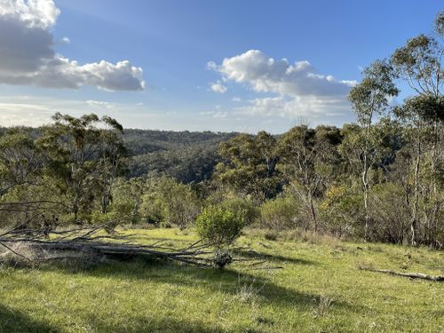 para wirra conservation park