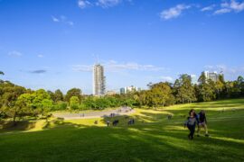 parramatta park