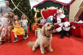 pet santa photo sydney