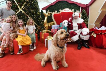 pet santa photo sydney